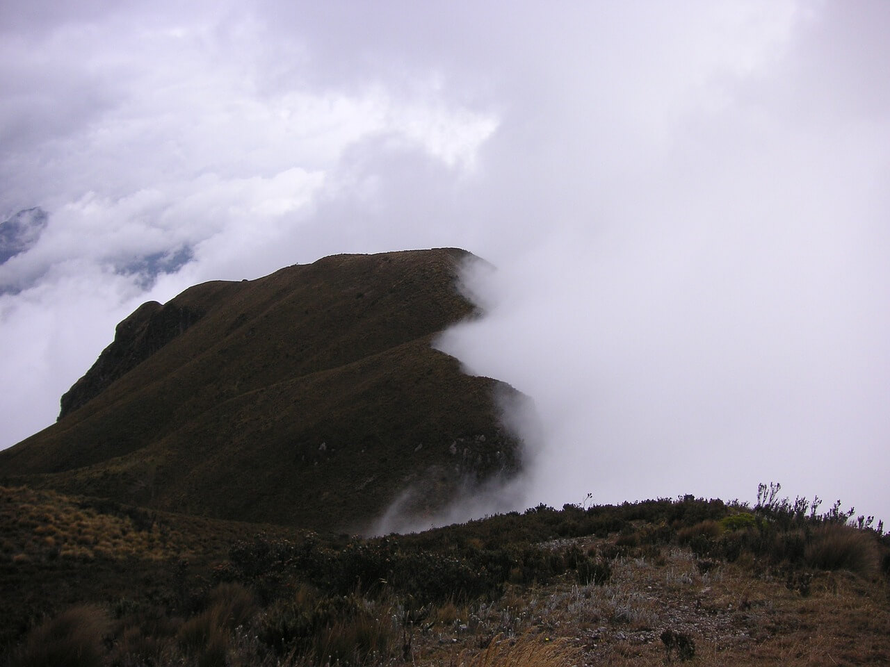 Chocó Andino De Pichincha Biosphere Reserve | LAC Geo